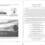 Imagem (4) (Large) Imagem (4) (Large)
