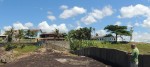 DSCN7316 - a (2)